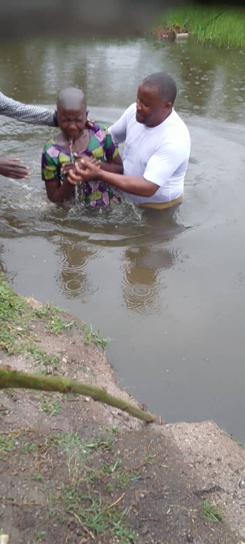 What Will God’s Kingdom Accomplish?